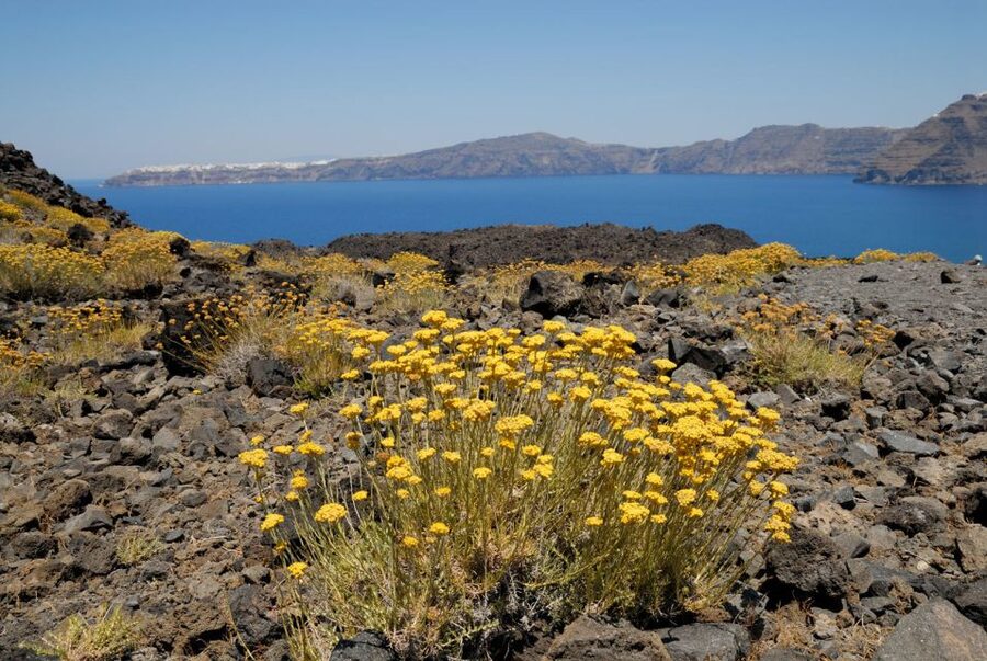 1-Day Boat Trip: Santorini Volcano, Thirassia & Oia Sunset - Sailing Beneath Oia’s Cliffs