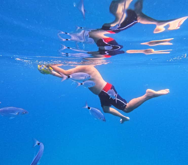 3 Islands Speedboat Tour: Golden Horn, Blue Lagoon & Jelsa - What to pack for a smoother day