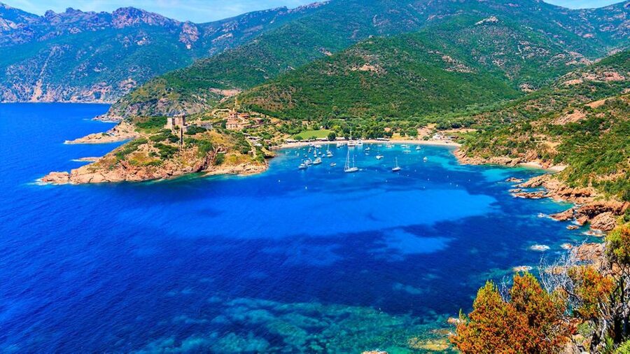 Ajaccio: Guided Scandola Nature Reserve Boat Tour - Who should book, and who should skip it