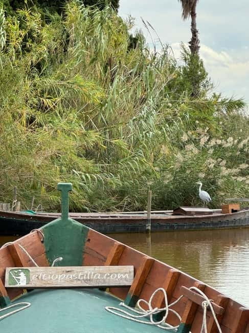 Albufera Valencia: Guided electric boat ride, also at sunset - Key points to know before you go