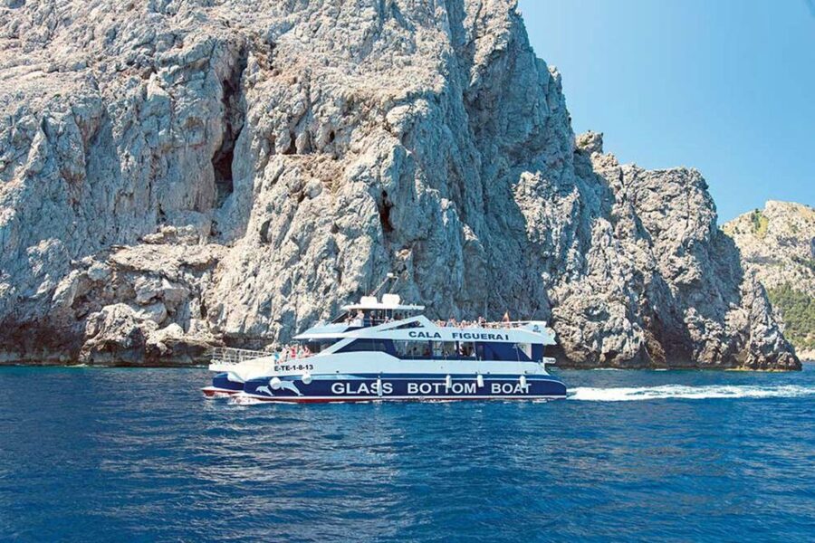 Alcudia: Boat Trip to Coll Baix - Who will enjoy this trip most?
