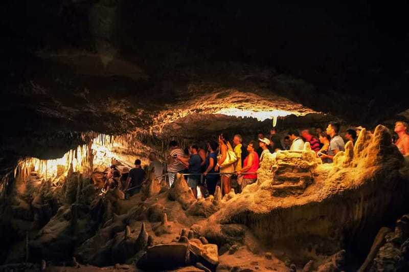 Alcudia: Caves of Drach Tour from the North with Boat Trip - Who should book this Alcúdia cave tour?