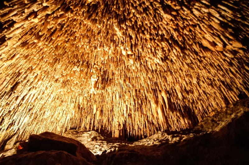 Alcudia: Caves of Drach Tour from the North with Boat Trip - Why the Caves of Drach are worth the trip