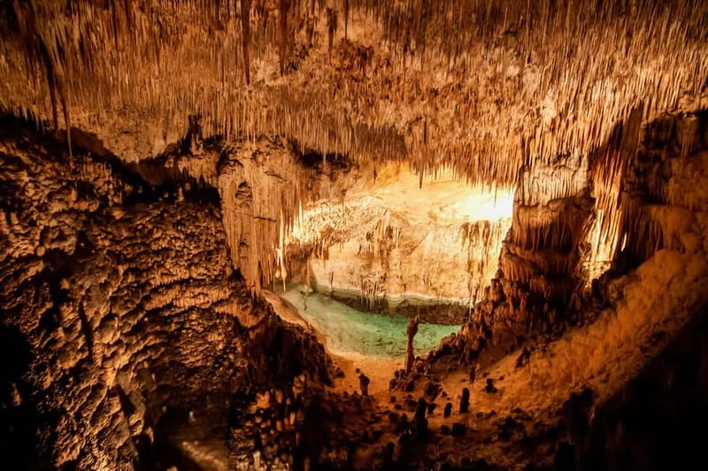 Alcudia: Caves of Drach Tour from the North with Boat Trip - Walking, steps, and comfort inside the caves