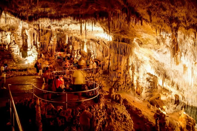 Alcudia: Caves of Drach Tour from the North with Boat Trip - What the $63 price really buys you