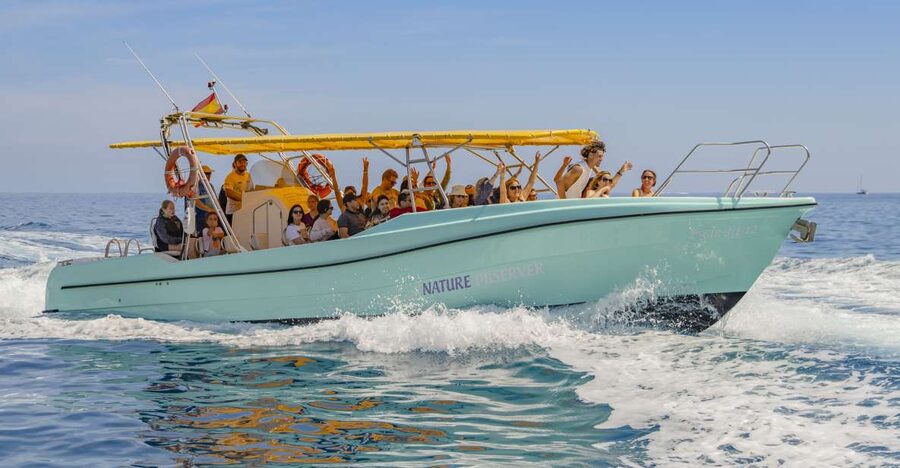 Alcudia: Coll Baix Beach & Sea Caves Cruise with Snorkeling - Why Coll Baix makes this boat trip worthwhile