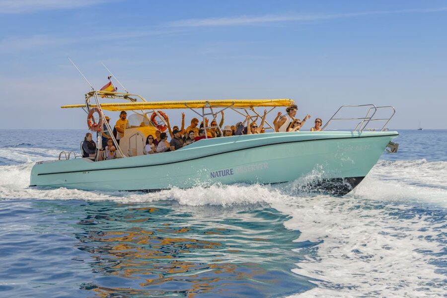 Alcudia: Coll Baix Beach & Sea Caves Cruise with Snorkeling - From hotel pickup to Alcudia Bay