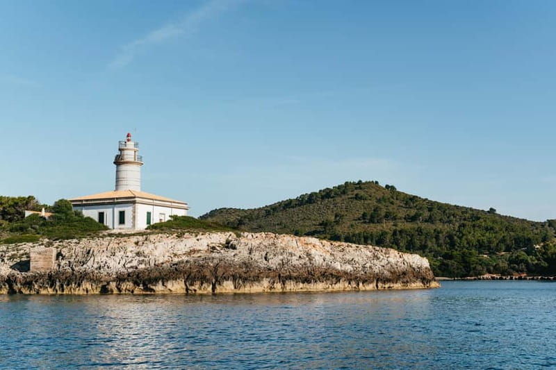 Alcudia or Can Picafort: Dolphin-Watching Cruise - Key points at a glance