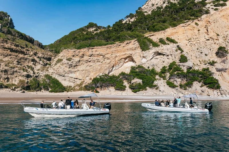 Alcudia or Can Picafort: Dolphin-Watching Cruise - Getting to Port d’Alcudia