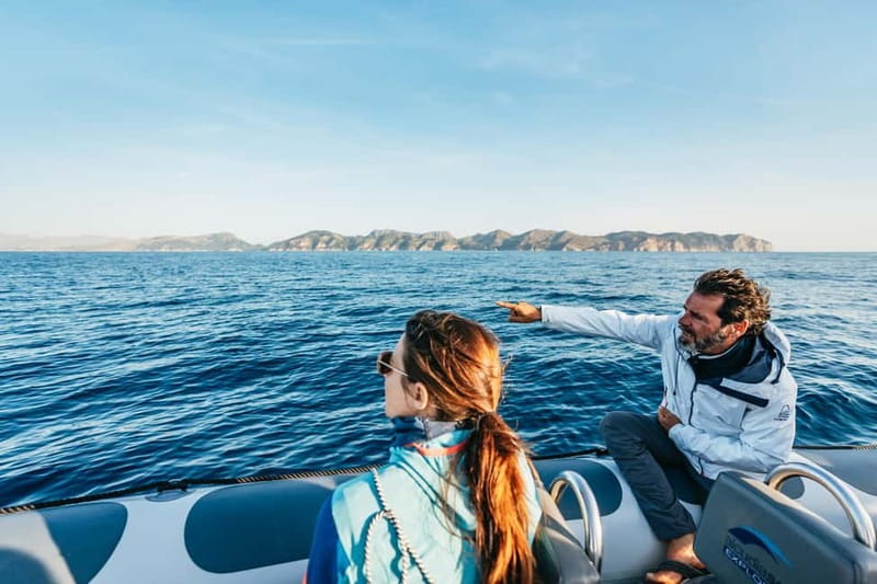 Alcudia or Can Picafort: Dolphin-Watching Cruise - Cabo Formentor and the Serra de Tramuntana coast