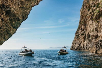 Alcudia or Can Picafort: Dolphin-Watching Cruise