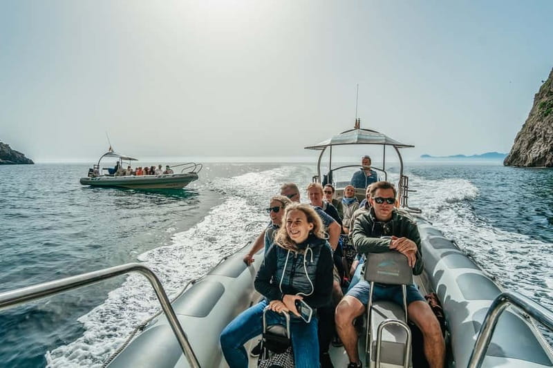 Alcudia or Can Picafort: Dolphin-Watching Cruise - The skippers shape the experience
