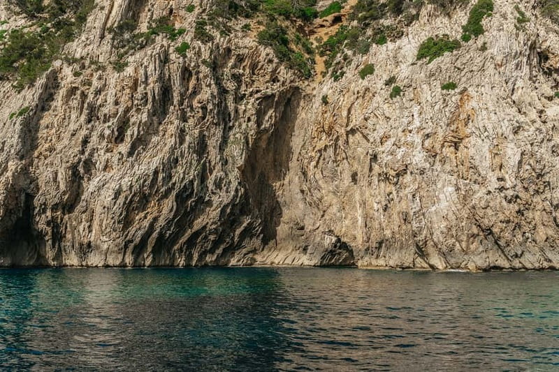 Alcudia or Can Picafort: Dolphin-Watching Cruise - Sunrise or afternoon departure?