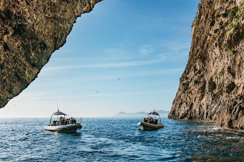 Alcudia or Can Picafort: Dolphin-Watching Cruise - Finding dolphins off Mallorca’s north coast