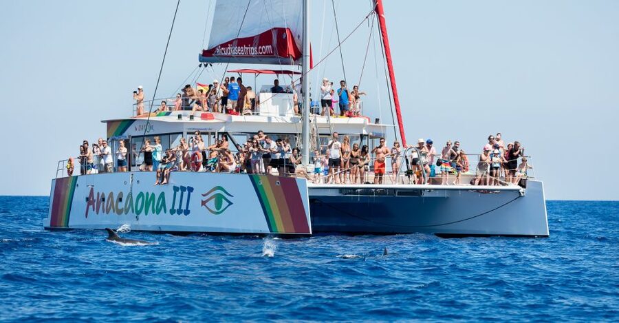 Alcudia: Sunset Catamaran Tour with Dinner and Snorkeling - Setting out from Port d’Alcudia