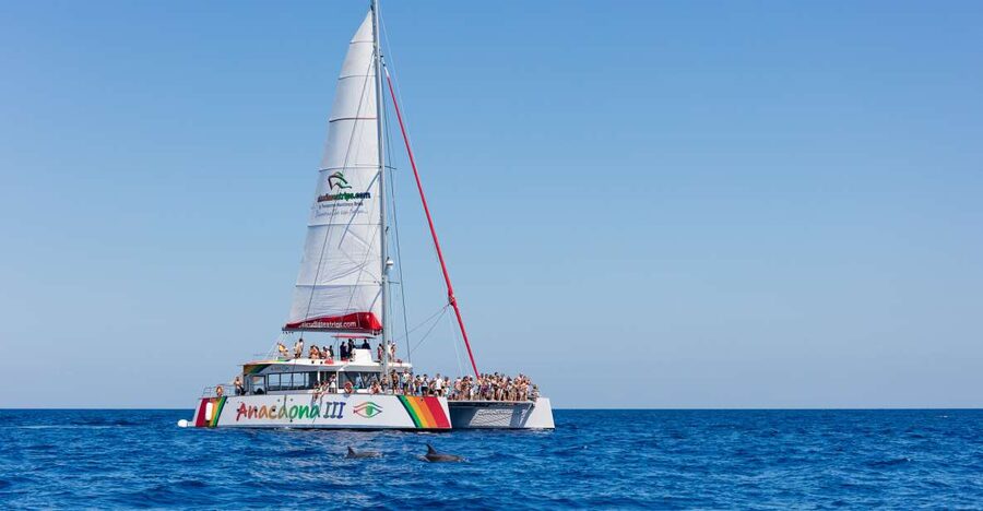 Alcudia: Sunset Catamaran Tour with Dinner and Snorkeling - The quiet cove and its 90-minute pause