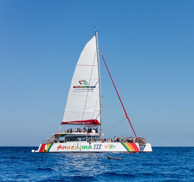 Alcudia: Sunset Catamaran Tour with Dinner and Snorkeling - Booking details worth knowing