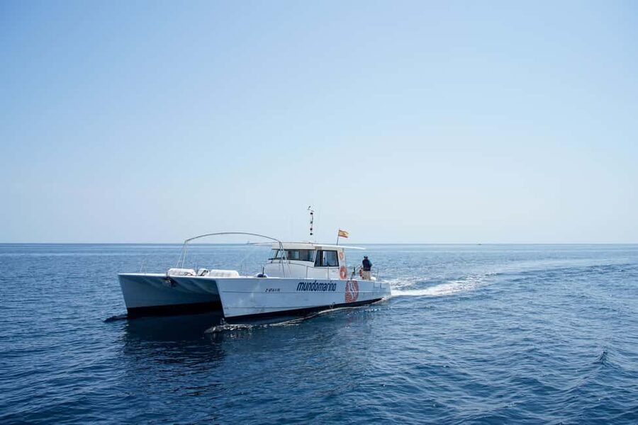 Altea: Boat Tour with Sunset Option - Tips for getting more from the ride