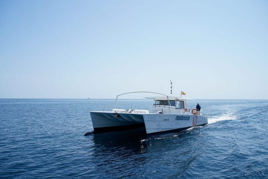 Altea: Motor catamaran with optional lunch and swimming stop - The swim stop near the Bay of Albirs