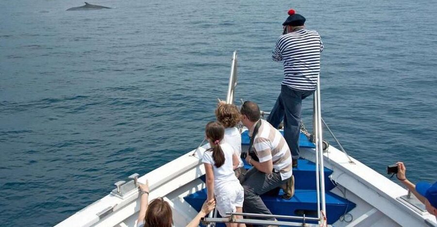 Aquarium of Genoa Ticket and Whale Watching Cruise - Key points to know before booking