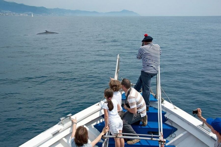 Aquarium of Genoa Ticket and Whale Watching Cruise - Starting with Genoa’s Aquarium