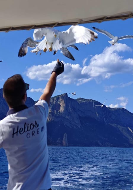 Arbatax: Gulf of Orosei Day Tour by Boat - Starting early from Marina di Arbatax