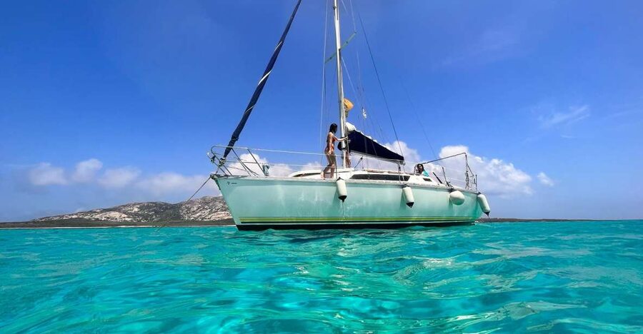 Asinara: Full Day Sailboat Excursion from Stintino - Sailing toward Asinara National Park