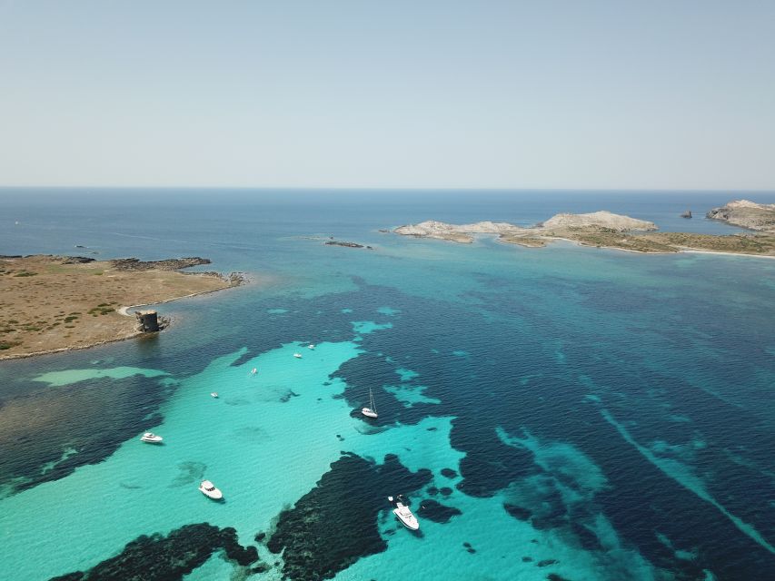 Asinara: Full Day Sailboat Excursion from Stintino - Lunch with seafood, Vermentino, and local sweets