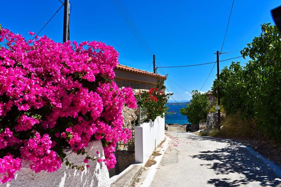 Athens: Agistri, Metopi & Aegina Cruise with Meals & Drinks - The quick take