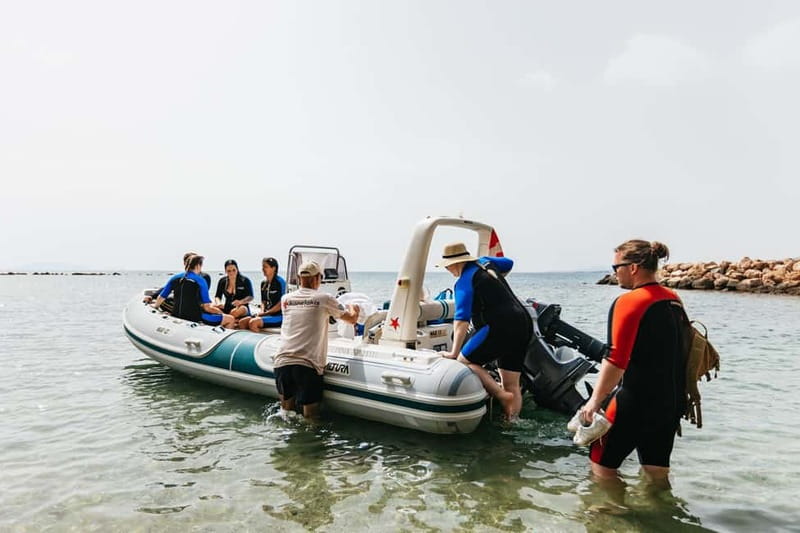 Athens, Nea Makri: Guided Small Group Snorkeling Boat Trip - Why Dimitris makes a difference