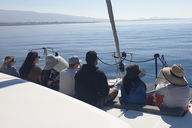 Athens Riviera Catamaran tour with fresh Meal Drinks and Swimming - At a glance: what makes this cruise worth considering