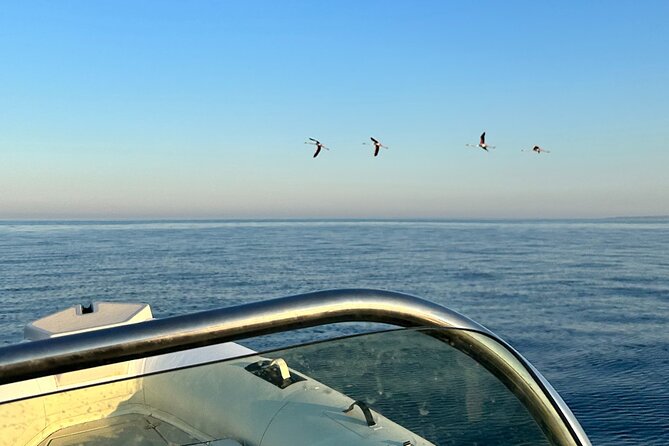 Avola: Vendicari Capopassero Group Boat Tour and Aperitif - A Sicilian Aperitif on the Water