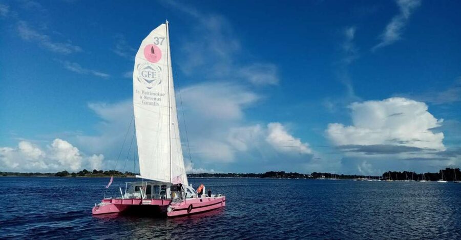 Baden: Gulf of Morbihan Exploration by Catamaran - Berder and the western Gulf