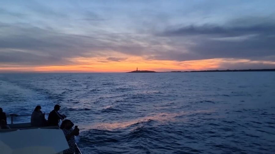 Barbate: Sunset Cruise with Glass of Cava - Key Points Before You Book