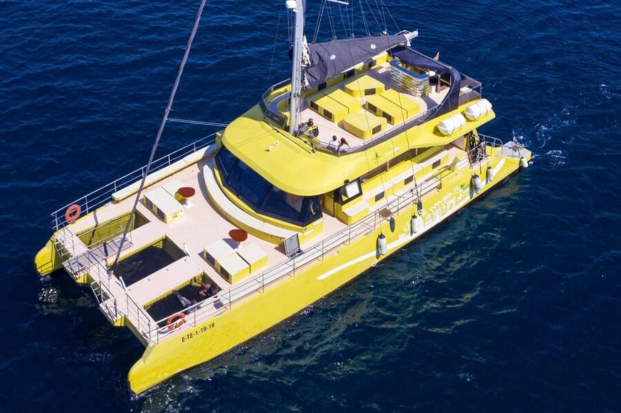 Barcelona: Daytime or Sunset Catamaran Cruise with Music - What this Barcelona cruise actually feels like