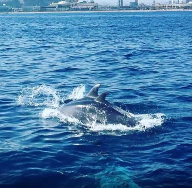 Barcelona: Sailing Tour with Drinks and Snacks - The 30-Minute Mediterranean Swim Stop