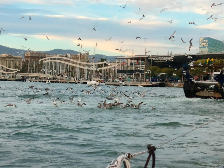Barcelona: Sunset Cruise with Snacks and Drinks - Sailing past the marina and out to sea