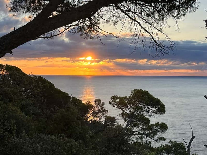Barcelona: Tossa de Mar & Costa Brava boat, very small group - Key details at a glance