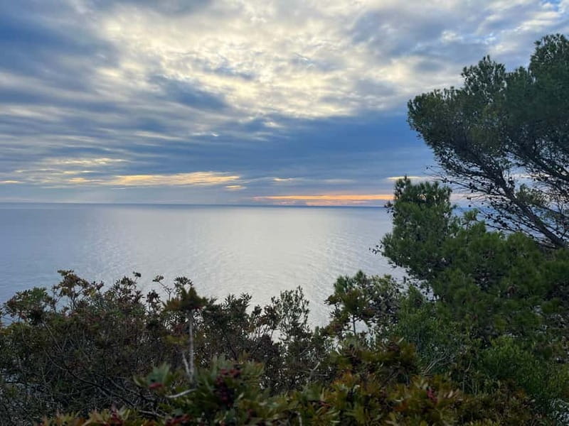 Barcelona: Tossa de Mar & Costa Brava boat, very small group - What the $106 price really covers