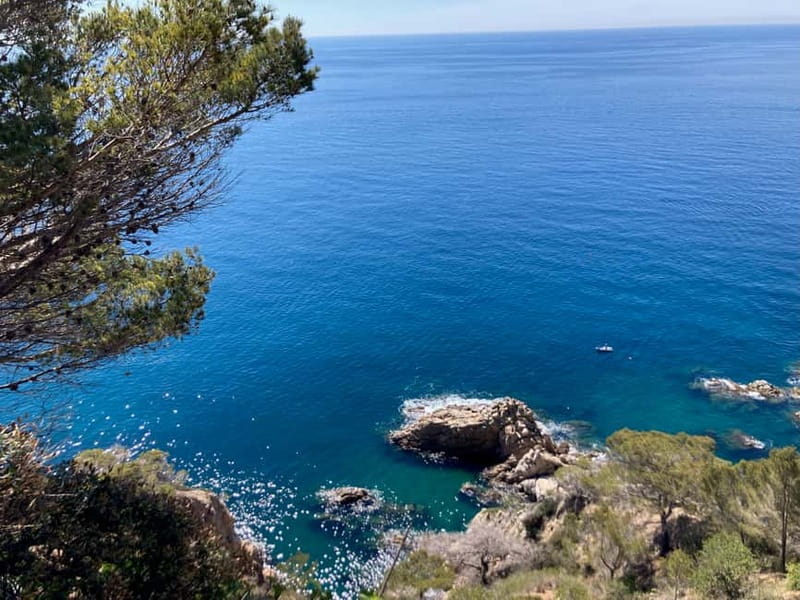 Barcelona: Tossa de Mar & Costa Brava boat, very small group - Should you book it?