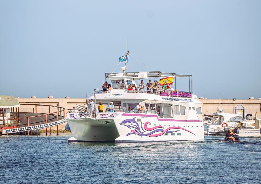 Benalmadena: Dolphin Watching Boat Tour - How the dolphin search works