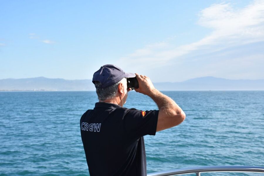 Benalmadena: Dolphin Watching Boat Tour - How comfortable is the boat for families?