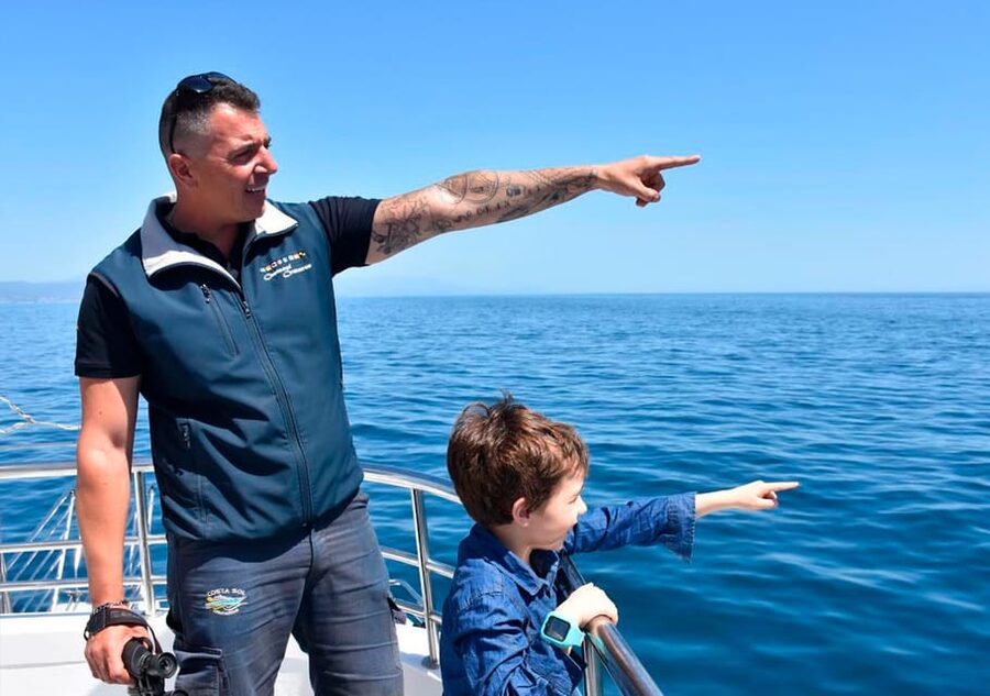 Benalmadena: Dolphin Watching Boat Tour - A catamaran designed for an easy 100 minutes