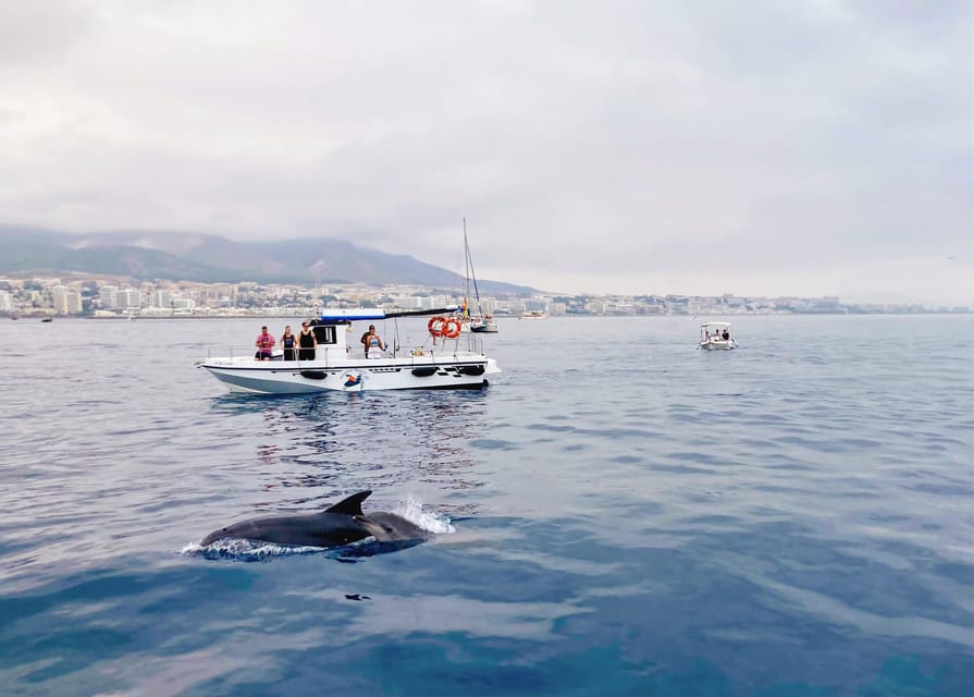 Benalmadena: Private Boat Trip – Dolphins, Drinks & Snacks - What this Benalmadena boat trip feels like