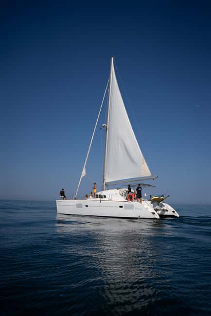 Benalmádena: Sailing & Dolphin Watching with Snacks/Drinks - Who will enjoy this boat trip most?
