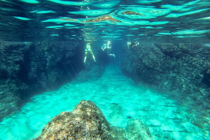 Blue Cave, Green Cave & Lopud Beach small group Speed boat Tour - Drinks, equipment and the real value of $84.65