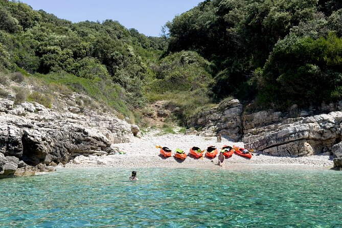 BOAT & KAYAK! Sea Adventure - Snorkeling & Cliff Jumps - Guides, safety, and group size