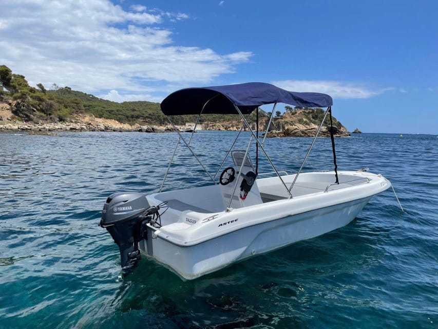 Boat rental without a license in Malaga city for 1-6 people. - How the feedback shapes my view