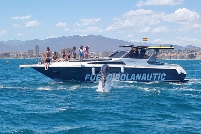 Boat Trip in Fuengirola, Dolphin Watching and Drinks - The dolphin search, with no guarantee