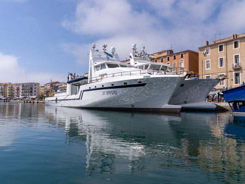 Boat walk in Sete on the singular island 1 hour - Key Points Before You Book